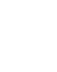 White globe icon
